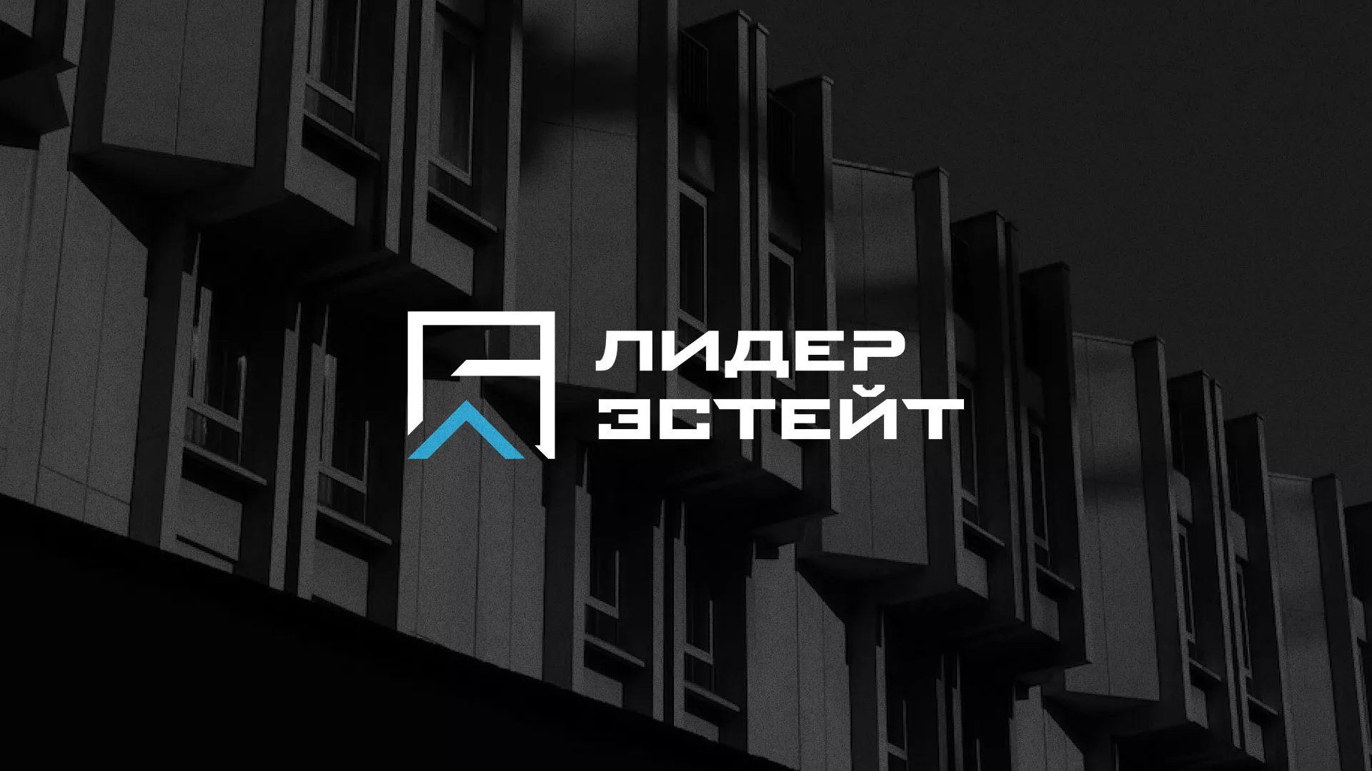 Разработка логотипа агентства недвижимости «Лидер Эстейт» в Донецке